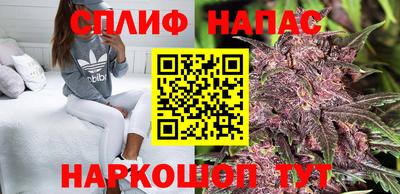 дмт Гусев