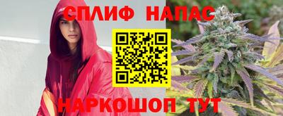 дмт Гусев