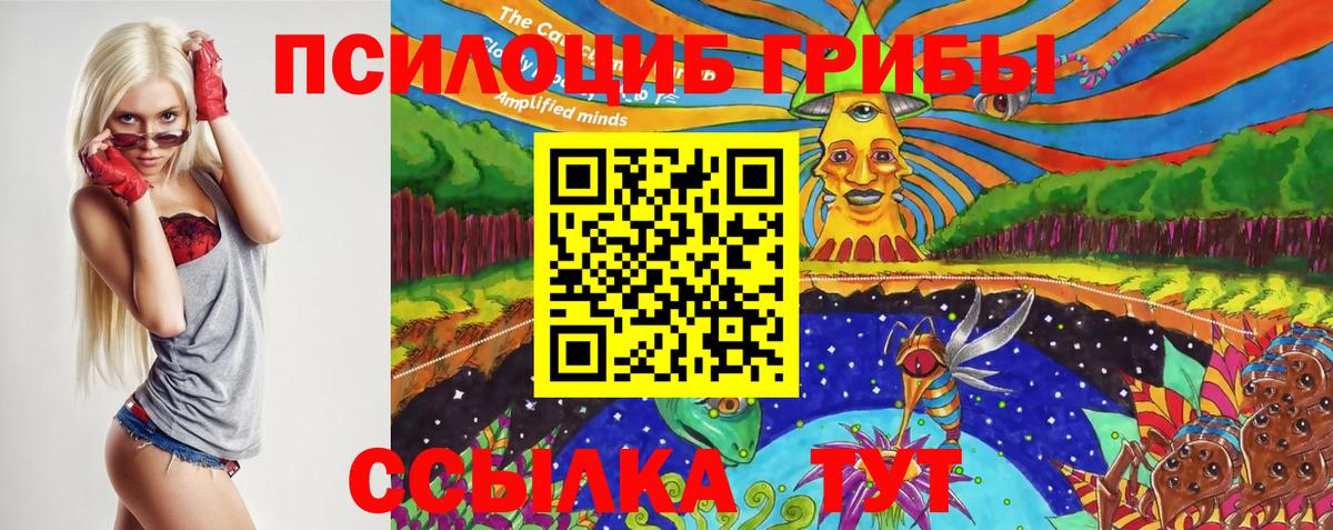 Набережные Челны  Псилоцибиновые грибы Psilocybine cubensis  Псилоцибиновые грибы ЛСД  Вход с VPN 